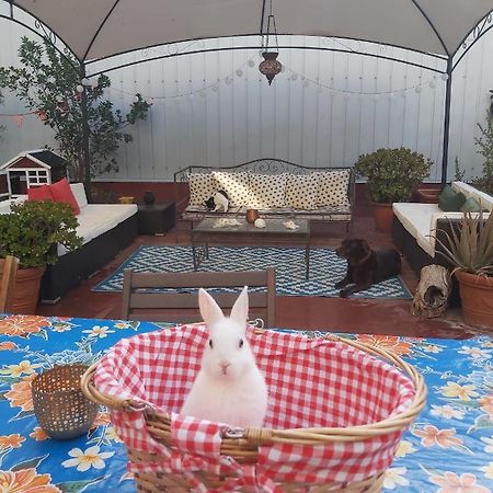 Small Room In Sants With Huge Terrace Barcelona Buitenkant foto