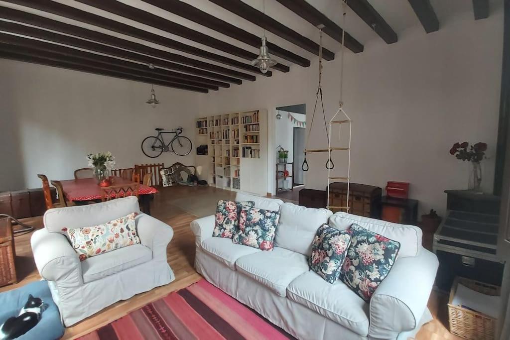 Small Room In Sants With Huge Terrace Barcelona Buitenkant foto